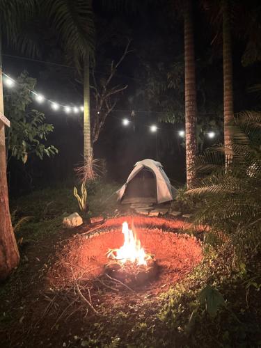 a tent and a camp fire in a field at night at Camping Místico - Vale do Ribeira in Juquiá