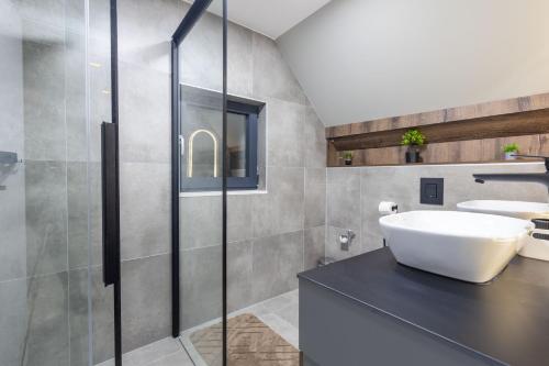 a bathroom with a sink and a glass shower at Golden peak Blidinje in Blidinje
