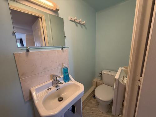 a bathroom with a sink and a toilet and a mirror at Le Studio Dunois in Châteaudun