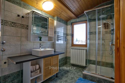 a bathroom with a sink and a shower at Rustica Apartments in Maribor