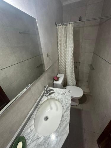 a bathroom with a sink and a toilet at Exclusivo Apartamento Centro Laguna in Chascomús