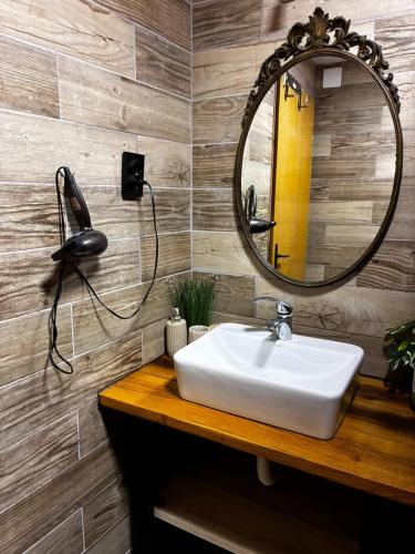 a bathroom with a white sink and a mirror at Lozanski ambar in Boljevac