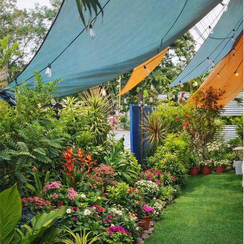a garden with a blue canopy and many plants at Crieta Costello Homestay in San Juan