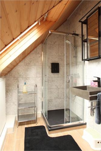 a shower with a glass door in a bathroom at Colorful Life by STN in Balatonudvari