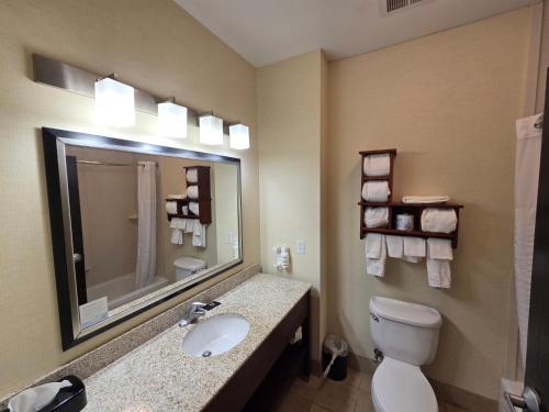 a bathroom with a sink and a toilet and a mirror at Wingate by Wyndham Steubenville in Steubenville