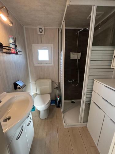 a small bathroom with a toilet and a shower at Blue Sea Horizon in Wenduine