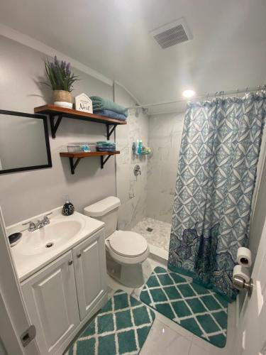 a bathroom with a toilet and a sink and a shower at Beautiful independent suite in Brandon