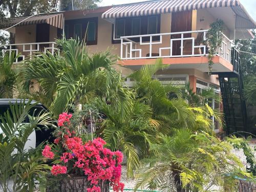 a building with palm trees and flowers in front of it at Casita de las flores in San José de Ocoa