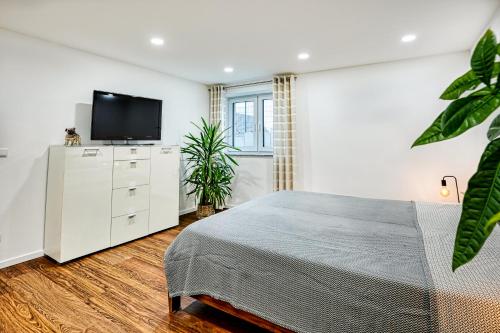 a bedroom with a bed and a flat screen tv at FeWo Bad Mergentheim in Bad Mergentheim