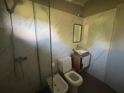 a bathroom with a toilet and a shower at Rincón Sereno Tunuyán Cabaña 2 in Tunuyán