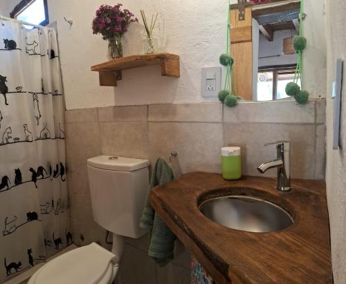 a small bathroom with a toilet and a sink at Cabañas APU in Maimará