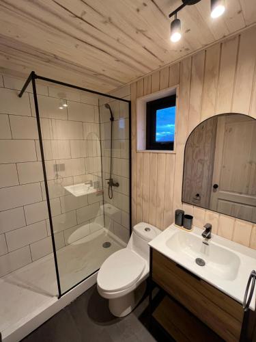a bathroom with a toilet and a shower and a sink at Refuge with Panoramic Views, Cerro Castillo in Villa Cerro Castillo