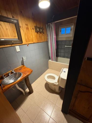 a bathroom with a white toilet and a sink at Hostería Altas Cumbres in El Chalten