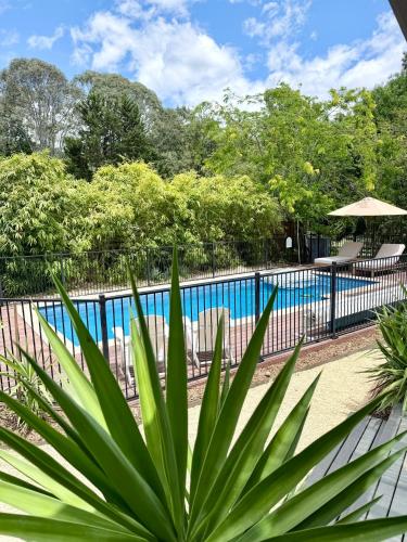 a fence around a swimming pool with a plant at Wyobie Kangaroo Valley Treehouse in Kangaroo Valley