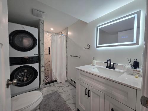 a bathroom with a toilet and a sink and a shower at Modern & Cozy Suite in Norwood