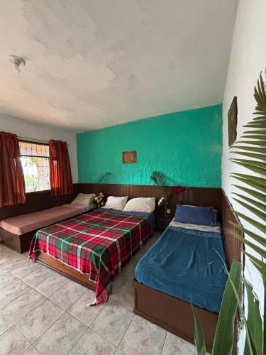 a bedroom with two beds and a green wall at Pousada Holística Alto do Sol in Nova Friburgo