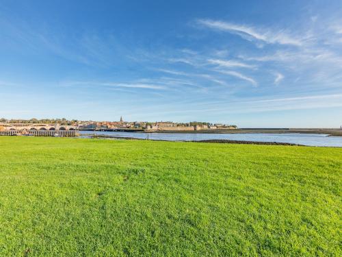 a field of green grass next to a body of water at River View Cottage in Berwick-Upon-Tweed