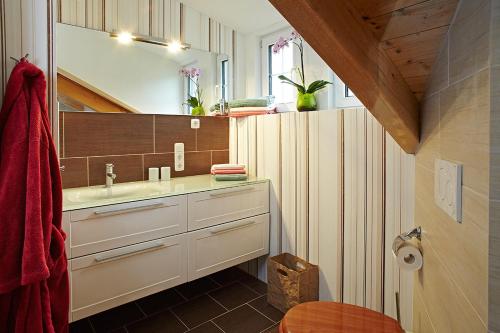a bathroom with a sink and a mirror at Ferienhaus ALPVERLIEBT Sommer-Hörnerbahnen kostenlos in Bolsterlang