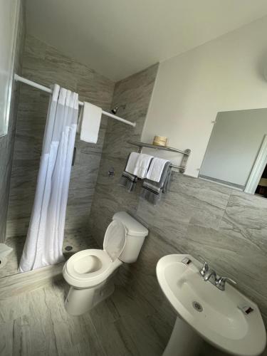 a bathroom with a white toilet and a sink at Shangri La Motel in Ocala