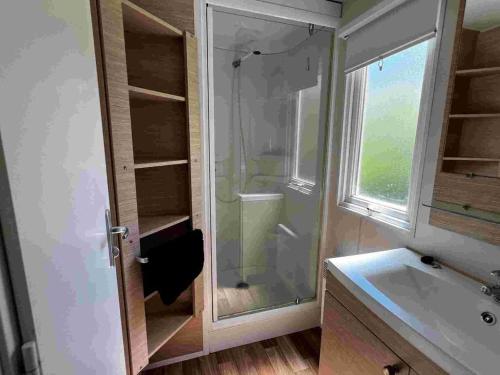 a bathroom with a shower and a sink at Chalet 4 Pers - Terrasse - API-1-52-1751 in Espira-de-Conflent
