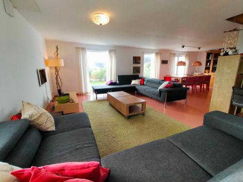 Maison lumineuse à 800m de la plage, accepte animaux, jardin grand - FR-1-418-274