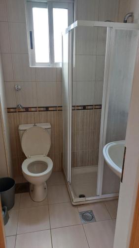 a bathroom with a toilet and a shower and a sink at Panoramic 3-Bedroom Chalet with Terrace-Garden in Kfardebian