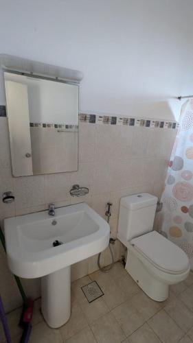 a bathroom with a sink and a toilet and a mirror at Villa 19 Zone 2 Millennium City - Jaela in Ja-Ela