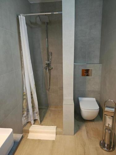 a bathroom with a shower and a toilet at HOTEL Tyrapol - izby in Oravská Lesná