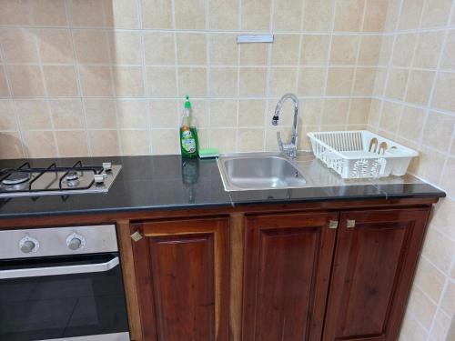a kitchen counter with a sink and a stove at The Drake Seaside Apartment in Bel Ombre