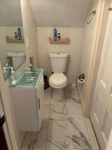 a bathroom with a toilet and a sink at HomeStay in Harvest Street in Boston