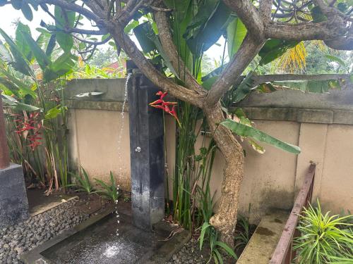 a water fountain next to a tree in a garden at Villa Light - Amed Bali in Amed