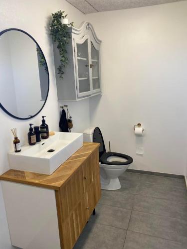 a bathroom with a sink and a toilet and a mirror at Oasen in Nørresundby
