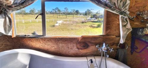 a bathroom with a tub and a window with animals in the field at TNiqua Stable Inn in Plettenberg Bay