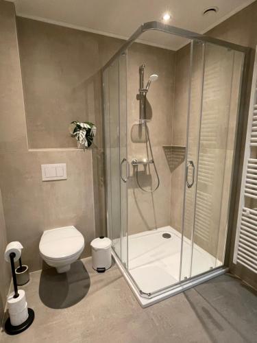 a bathroom with a shower and a toilet at Le Grand Pont in Vielsalm