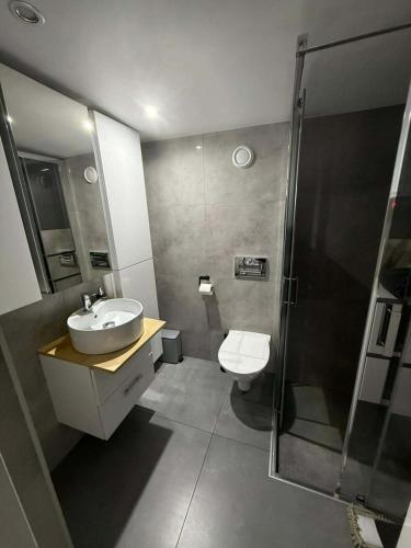 a bathroom with a sink and a shower and a toilet at Tęczowy Domek - Balia z hydromasażem in Darłowo