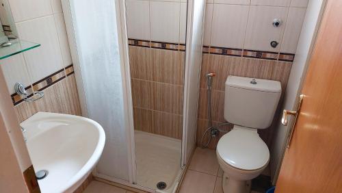 a small bathroom with a toilet and a sink at 2-Bedroom Chalet for Ski and Summer in Kfardebian