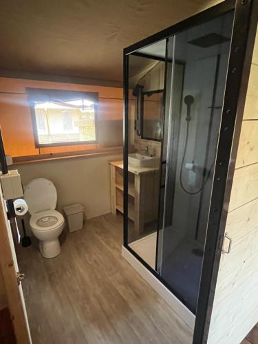 a bathroom with a toilet and a glass shower at Glampingtent Serengeti in Zwartemeer