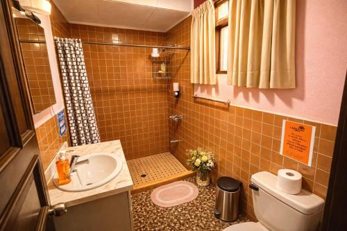 a small bathroom with a sink and a toilet at Chillout Hostel Barrio Escalante in San José