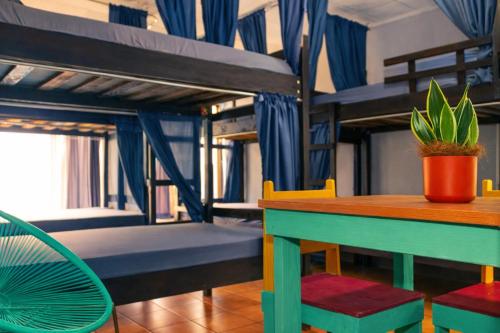 a table and chairs in a room with bunk beds at Chillout Hostel Barrio Escalante in San José