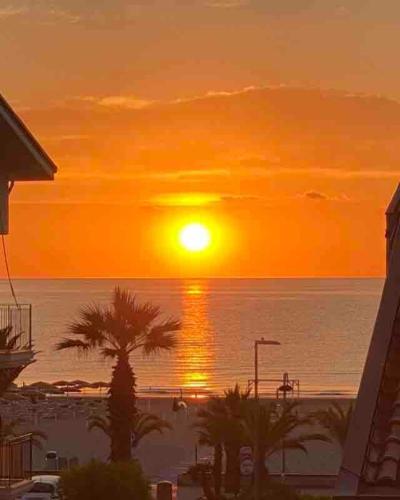 a sunset over the ocean with palm trees on the beach at Splendida Alba in Tortoreto Lido