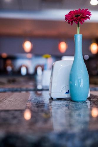 a blue vase with a flower in it on a table at Hotel Expo Abastos in Guadalajara