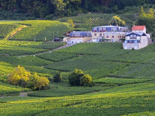 a farm in the middle of a field of crops at VOIRIN Valérie in Cramant