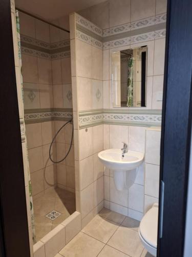 a bathroom with a sink and a shower and a toilet at Pensjonat nad Stawem in Sarbinowo