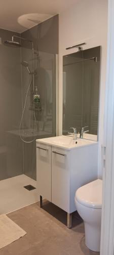 a bathroom with a sink and a toilet and a shower at Studio bois du bournat piscine et tranquilité in Saint-Avit-Sénieur