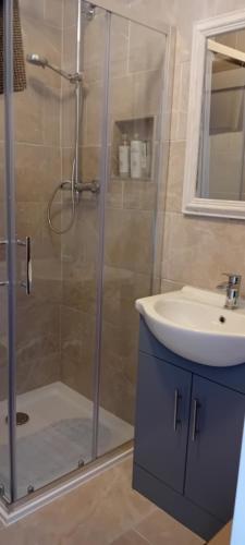 a bathroom with a shower and a sink at The Snug in Naas