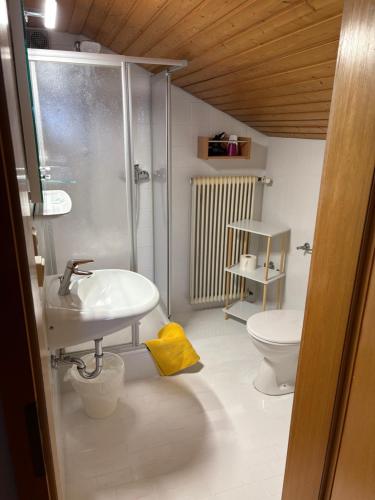 a bathroom with a shower and a sink and a toilet at Hotel Garni Austermayer in Traunreut