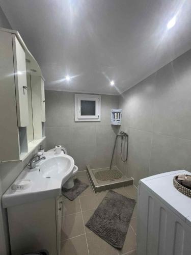 Dinas house 2
