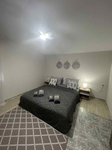 Dinas house 2