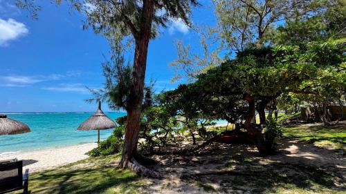 a beach with umbrellas and the ocean at BlueMoon Villa - Authentic, seaside living in Trou d'Eau Douce
