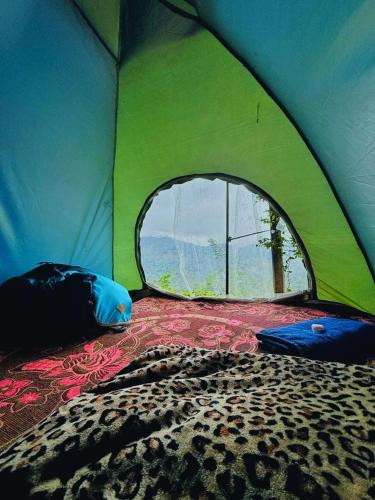 a green tent with a large window in it at Cindrella Sky Nest Camp Ella in Ella